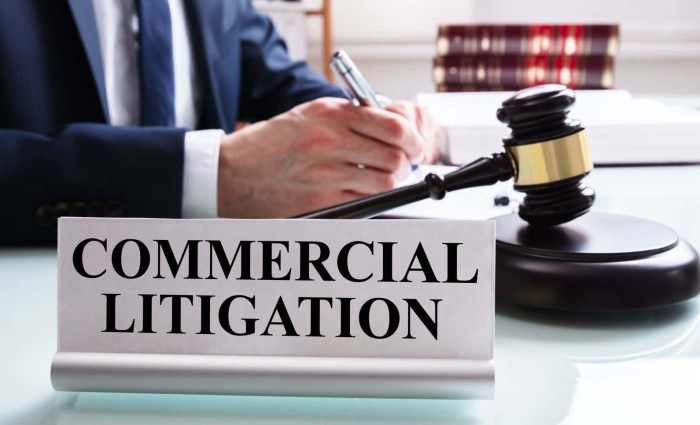 Lawsuit Lawyers: Your Legal Guide
